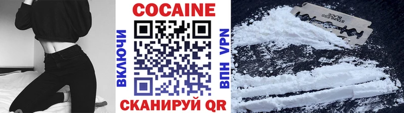 Кокаин FishScale  мега как зайти  Ворсма  наркотики 