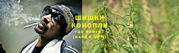 дурь Верхний Тагил