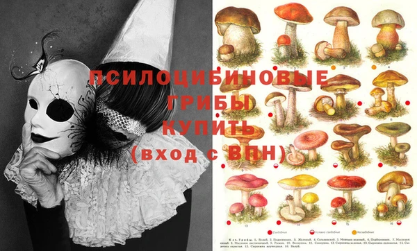 mix Верея